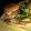 El cooksnap de Monika Aparicio cuando hizo Hamburguesas de brócoli y ajos tiernos.