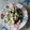 El cooksnap de Cristina cuando hizo Ensalada de mijo.
