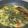 Cooksnap dari tities3dinda untuk resep Sayur Bobor Daun Singkong & Kelor