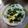 Cooksnap dari Emiliana untuk resep Bobor Bayam dan Labu