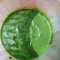 Smruti Shah's cooksnap of when they made લીલા ધાણા લસણની ચટણી (Lila Dhana Lasan Chutney Recipe In Gujarati).