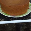 Janet Chebet's cooksnap of when they made Basic Vanilla cake.