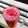 Sajjad Bhatti's cooksnap of when they made Water melon juice.