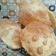 Cooksnap dari Putri(Dapur Ryuna)✅ untuk resep Roti Puri / Poori Bread