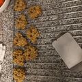 El cooksnap de Sofía Galeano cuando hizo Galletas de avena y banana sin azúcares agregados.