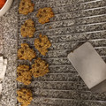 El cooksnap de Sofía Galeano cuando hizo Galletas de avena y banana sin azúcares agregados.