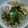 Cooksnap dari ms.Hida untuk resep Nasi Rawon