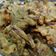 Cooksnap dari Widya Jojo untuk resep Teri Goreng Tepung