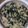 Cooksnap dari Debby Ayu untuk resep Daun pepaya masak santan