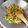 Cooksnap dari Indri Andriyani untuk resep Oseng Buncis Wortel Jagung Sehat