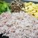 Cooksnap dari Ummu Karim untuk resep Minced beef teriyaki-donburi ala Andini