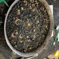 El cooksnap de Melanio Esteban cuando hizo Arroz Negro.