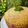 Cooksnap dari Winda untuk resep Banana Butter Cake - Gluten Free