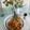 Cooksnap dari Nia Charles untuk resep Kembang Kol Pedas Manis