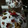 El cooksnap de Angela Lara cuando hizo Pan dulce tradicional.