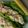 shari.stokes2's cooksnap of when they made Mike's Low Carb Tuna Lettuce Wraps.