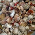 Cooksnap dari Nurul Fatimah untuk resep Tumis kerang dara sederhana