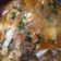 Cooksnap dari Lely Khulafa'ur untuk resep Tahu udang Hakam