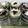 Cooksnap dari Wini Nurhasmah untuk resep Oreo Cheese Cake