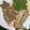 Iiyah Mwithi's cooksnap of when they made Marinated kienyeji chicken.