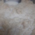 Saira Abdullah's cooksnap of when they made Pheni ki Kheer | Milk Recipe.