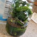 Chef Mommy Nessa's cooksnap of when they made Sweet & Tangy Homemade Cucumber Pickles.