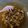 Cooksnap Nurul Aliah semasa beliau membuat Makaroni Goreng Tomyam.