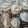 Cooksnap dari kinarazahira untuk resep Puding Susu Keju