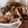 Angela Mertoyono's cooksnap of when they made ”Shoyu Karaage ” the Japanese Fried Chicken Soysauce flavor.