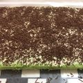 Cooksnap dari Lousye ANna untuk resep Sponge Cake Lembut (bolu jadul) #selasabisa