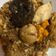Cooksnap dari Miyane Soemitro untuk resep Nasi Bakcang Rice Cooker