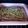 El cooksnap de Valeria Rodriguez Saravia cuando hizo 🥦 Tarta de brócoli, cebolla y queso 🧀.