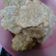 Cooksnap dari Agnes Theresia untuk resep Cireng crispy