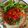 Cooksnap de Ikiorkua sur la recette Risotto tomates 🍅 & coco 🥥
