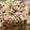 vlutaski's cooksnap of when they made Lemon Dill Chicken Salad.