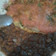 El cooksnap de AbyZed92 cuando hizo Tortitas de huevo con acelga.