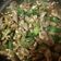 Cooksnap dari Kikie Rizkie untuk resep Tumis Jantung Ayam#ketopad_cp_jerohan