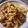 菜菜 的 薑燒豬肉片 cooksnap