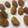 El cooksnap de Clara cuando hizo Croquetas de pechuga de pollo asado y jamón serrano.