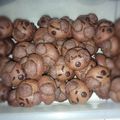 Cooksnap dari Catarina Arin untuk resep Milo doggy cookies
