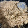 Cooksnap Nabilah Mansor semasa beliau membuat Bihun Goreng Sesimple Alam.