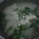 Cooksnap dari Windhari Dewi Handayani untuk resep Bobor Bayam