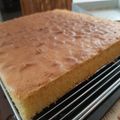 Cooksnap dari Christina Rasma untuk resep Bolu Klasik Loyang 26cm