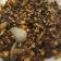 Cooksnap dari Ranindya Faradhani untuk resep Beef teriyaki