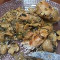 El cooksnap de Federico Manuel Catalan cuando hizo Pollo a la crema con champiñones y hongos de pino.