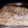 El cooksnap de Natalia Amat cuando hizo Calzone.