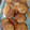 El cooksnap de Inma Morales cuando hizo Galletas integrales de avena y chocolate.