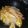 Nosheen Nadeem's cooksnap of when they made Crunchy frinch fries.