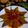 sandhya Dutta 's cooksnap of when they made ধোঁকার ডালনা (dhokar dalna recipe in bengali).