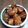 Anupama's cooksnap of when they made Gobi (Cauliflower) Manchurian - Indian Chinese.